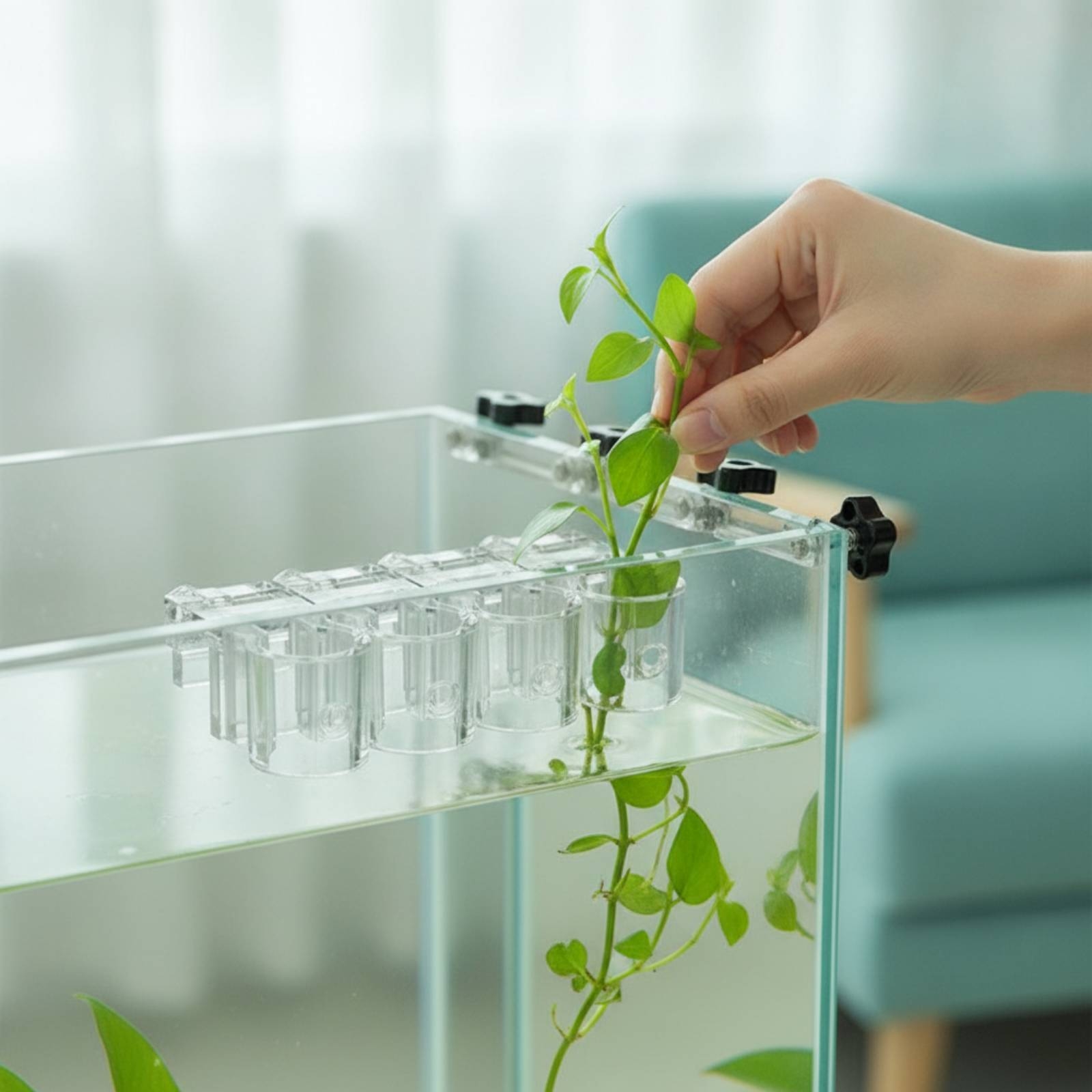 Aquarium Plant Original - 6 قطع مشبك دعم شفاف للزراعة