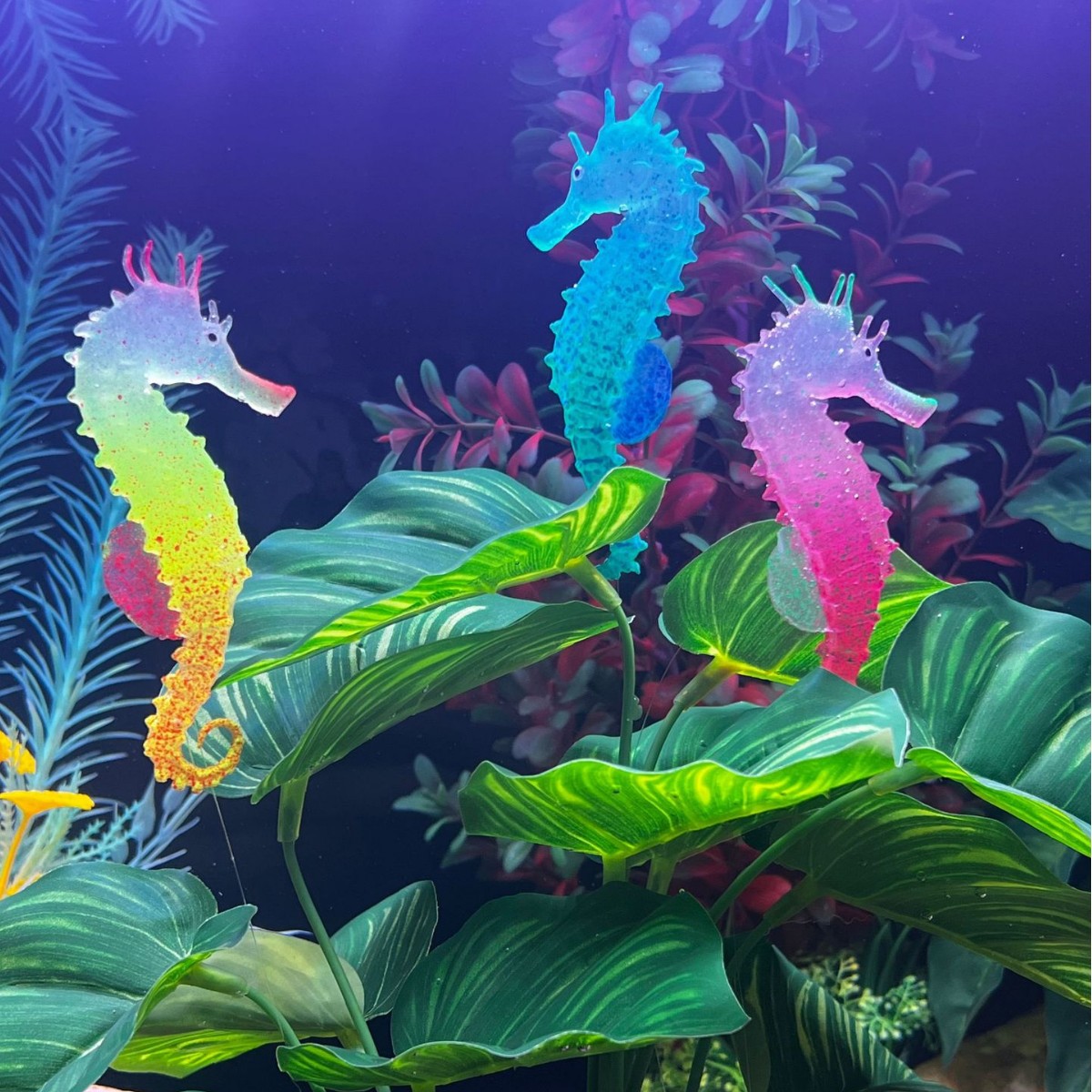 Aquarium Planted Substrate - زينة حوض السمك على شكل فرس