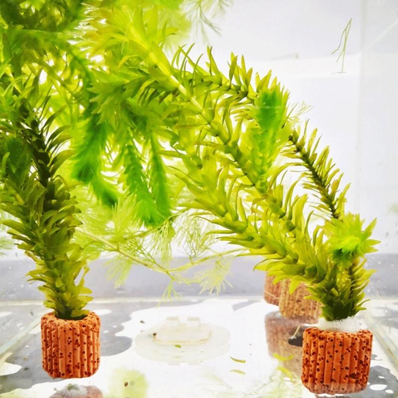 Emersed Plants Aquarium - حامل نباتات لأحواض السمك QX2E لزراعة
