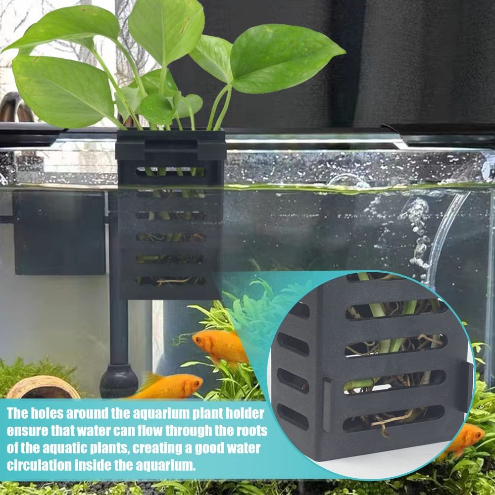 Emersed Plants Aquarium - حامل نباتات مائية لحوض السمك، حوض