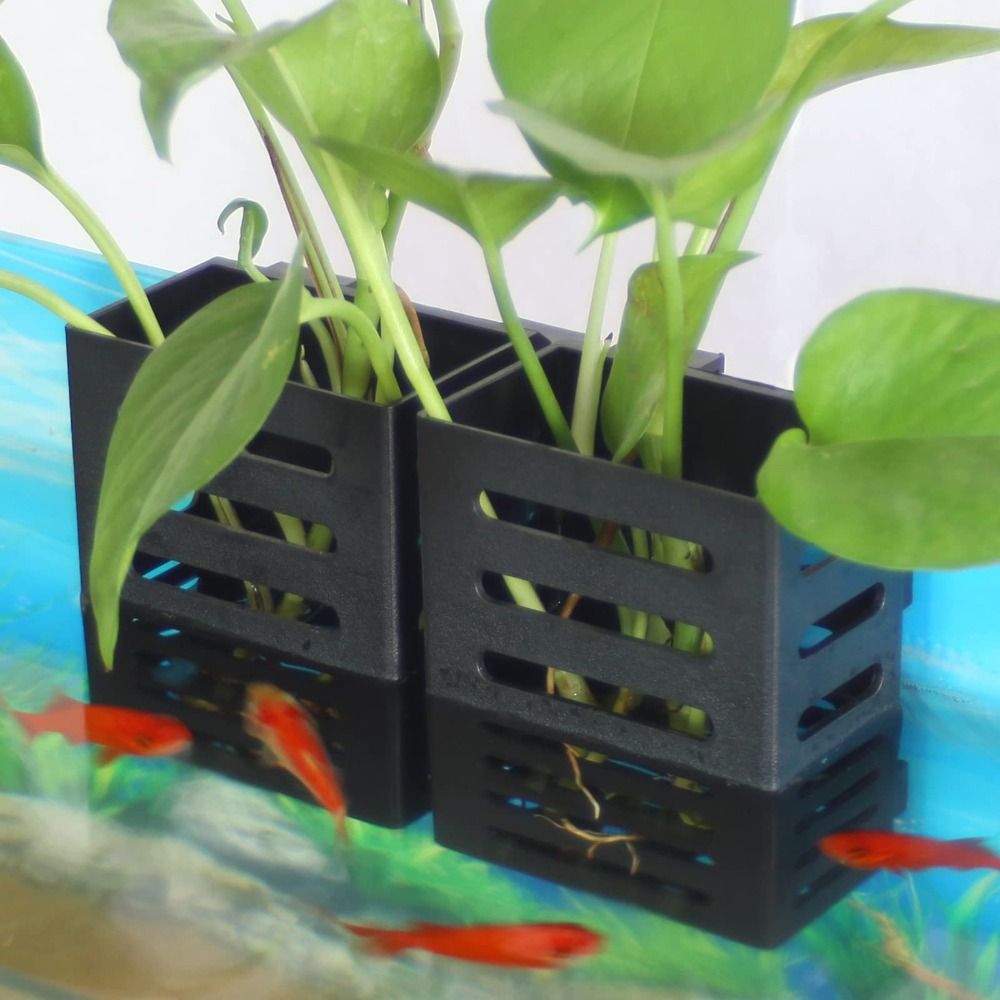 Emersed Plants Aquarium - حامل مصنع زجاجي لحوض السمك المائي