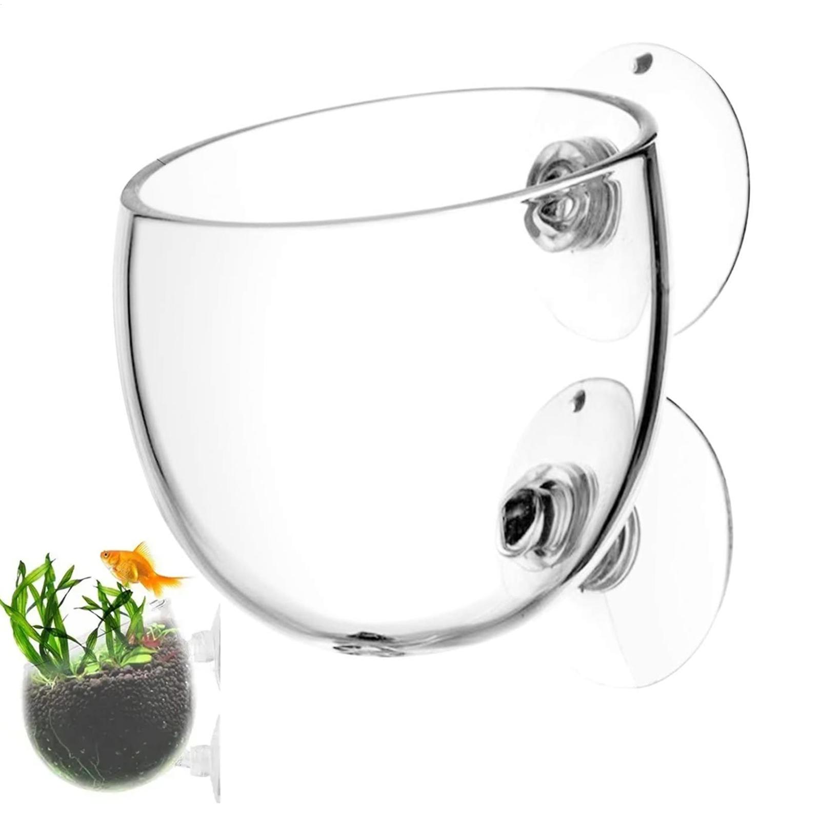 Aquarium Plant Vine - وعاء زجاجي للنباتات المائية مع أكواب