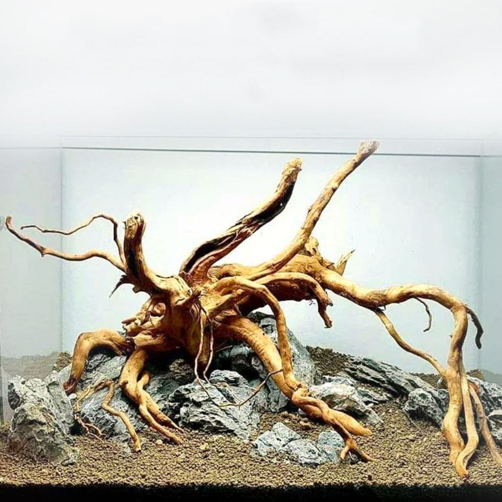 Aquarium Planted Wood - خشب عائم طبيعي كبير لحوض السمك