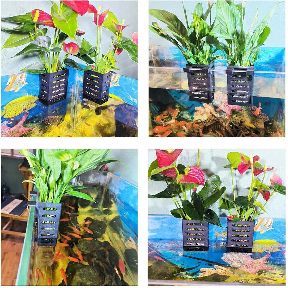 Emersed Plants Aquarium - حامل نباتات مائية لحوض السمك، رف