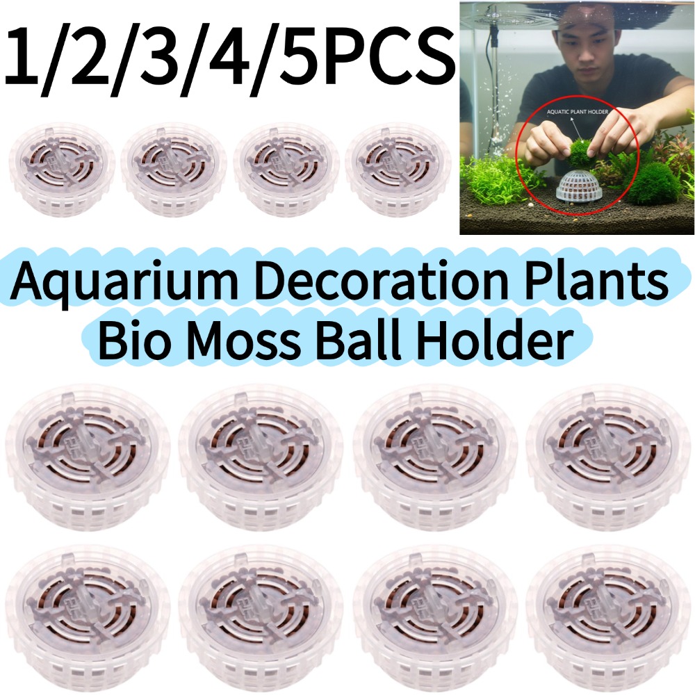 Aquarium Planted Background - 1-5 قطع من نباتات الزينة للأحواض