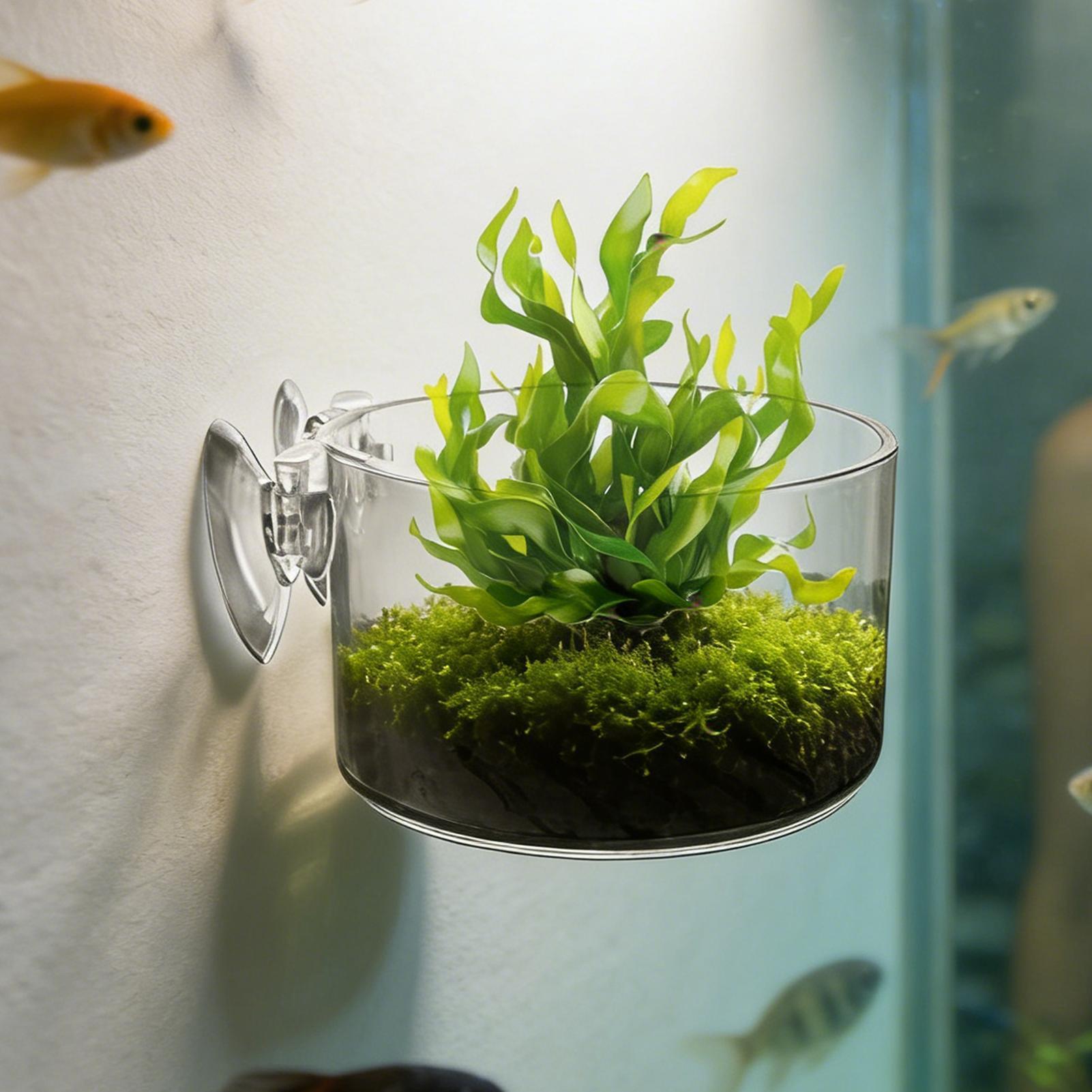 Aquarium Planted Background - حامل نباتات الأحواض المائية من الأكريليك،