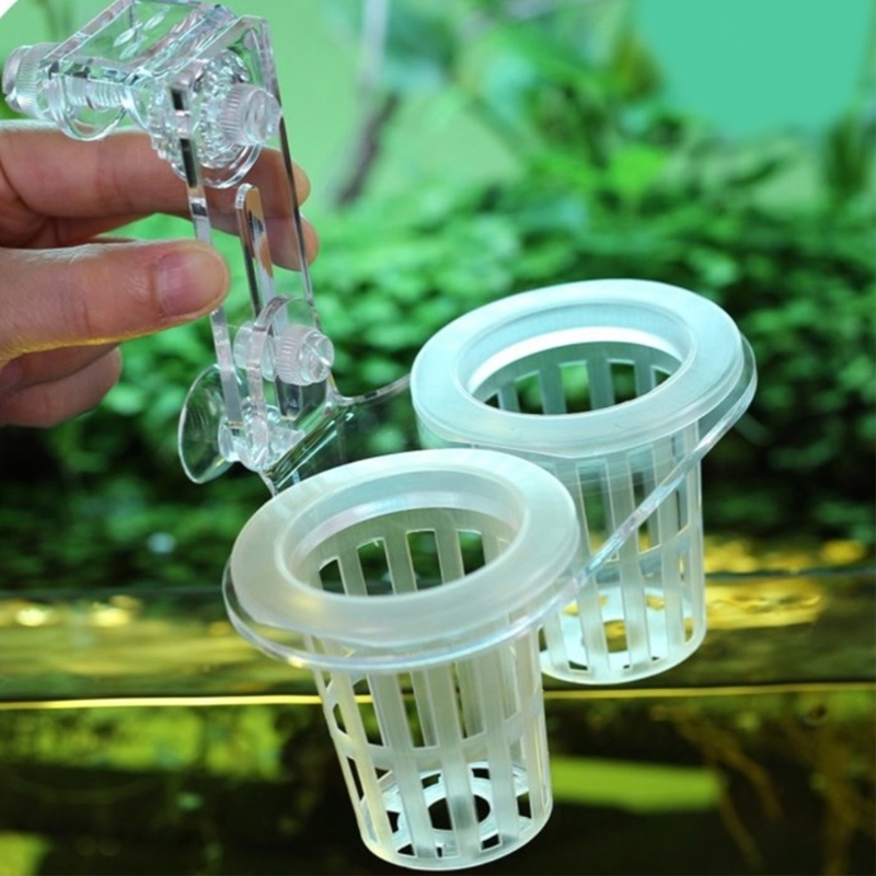 Emersed Plants Aquarium - حامل نباتات أحواض السمك مع مشبك