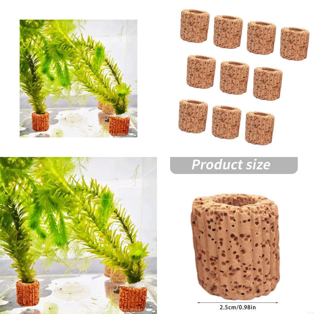 Emersed Plants Aquarium - F19B أصحاب النباتات حوض السمك أكواب