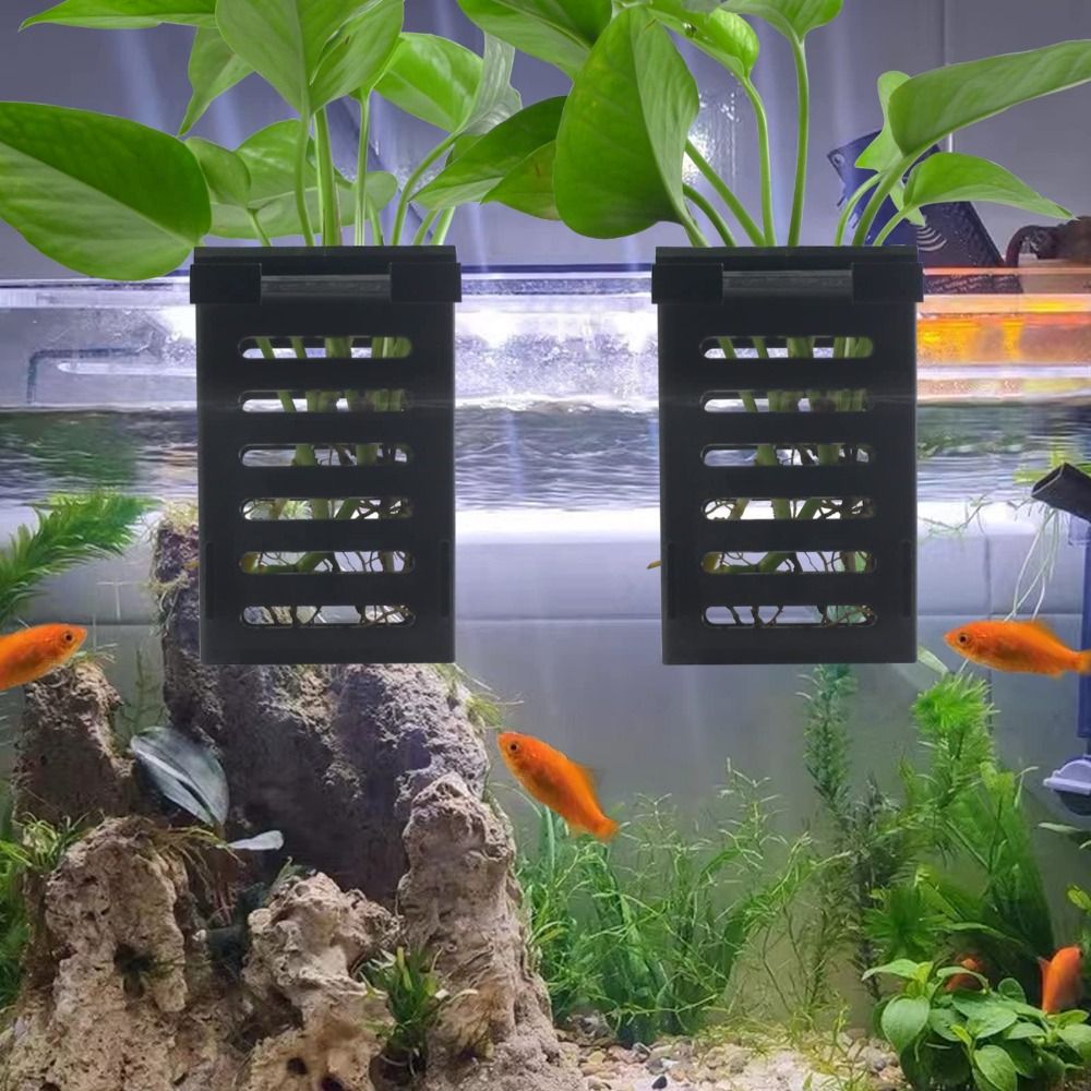 حامل نباتات زهور مائية ، خزان  - مراجعة Emersed Plants Aquarium وسعره