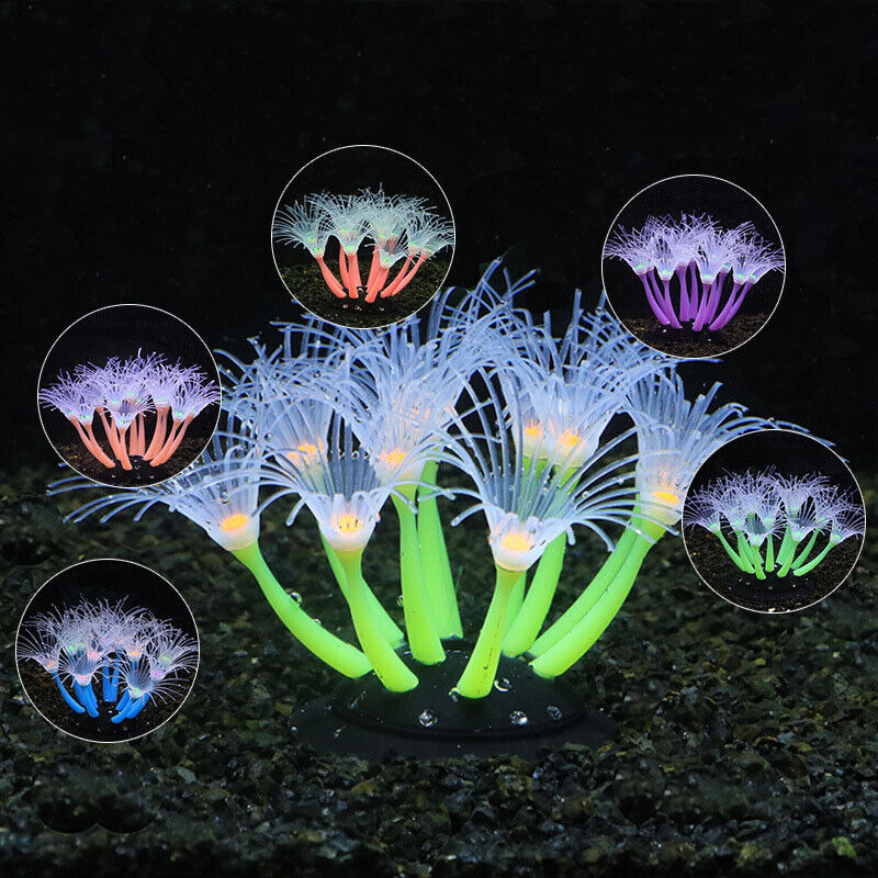 ديكور حوض السمك الاصطناعي المض - مراجعة Aquarium Planted Substrate وسعره