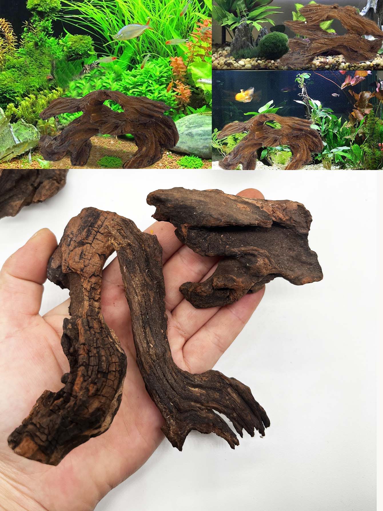 3 قطعة ﻿ مجموعة دريفتوود ذات م - مراجعة Aquarium Planted Wood وسعره