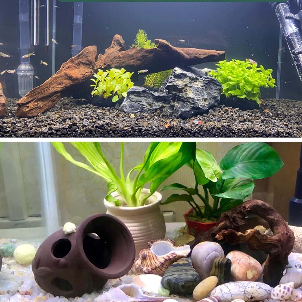 3 قطعة ﻿ مجموعة دريفتوود ذات م - مراجعة Aquarium Planted Wood وسعره