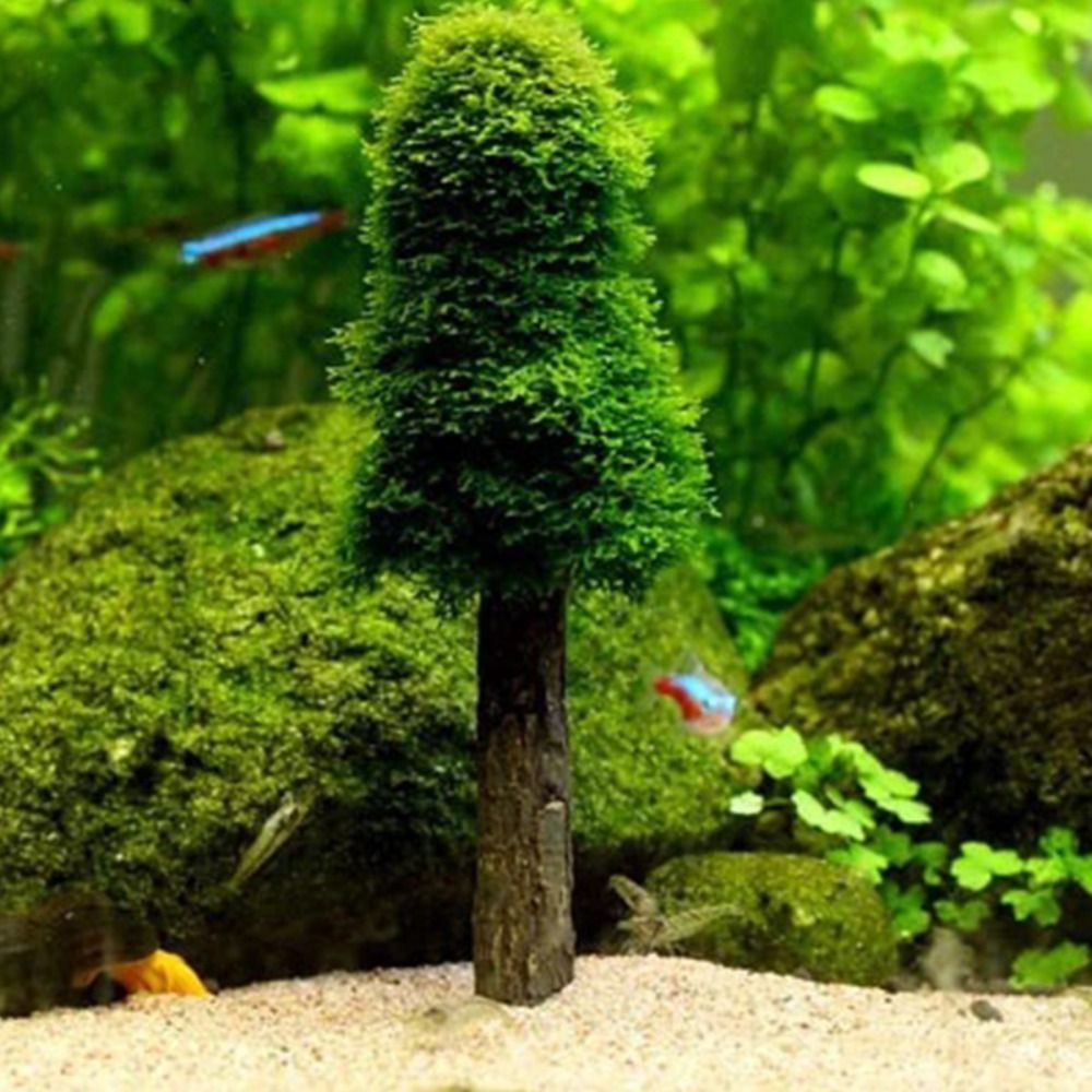 شجرة عيد الميلاد الاصطناعية، ح - مراجعة Aquarium Planted Background وسعره