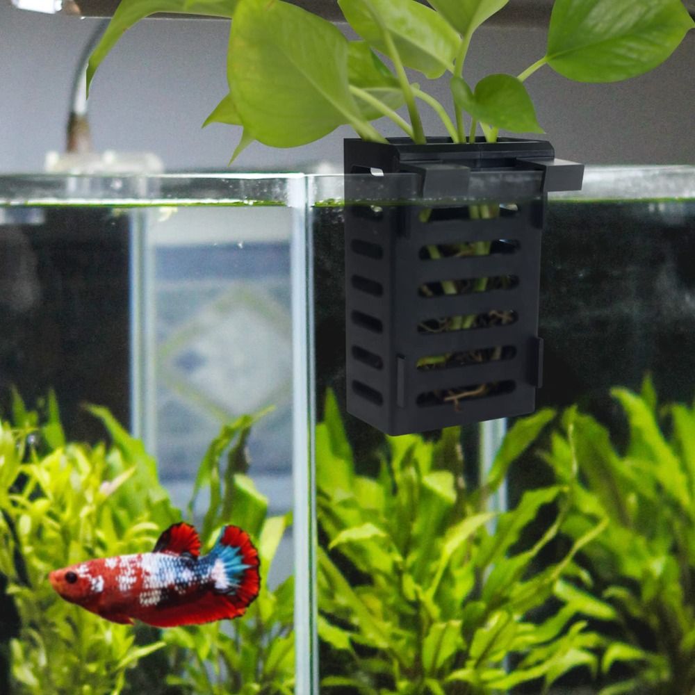 حامل نباتات مائية زجاجي للزراع - مراجعة Emersed Plants Aquarium وسعره
