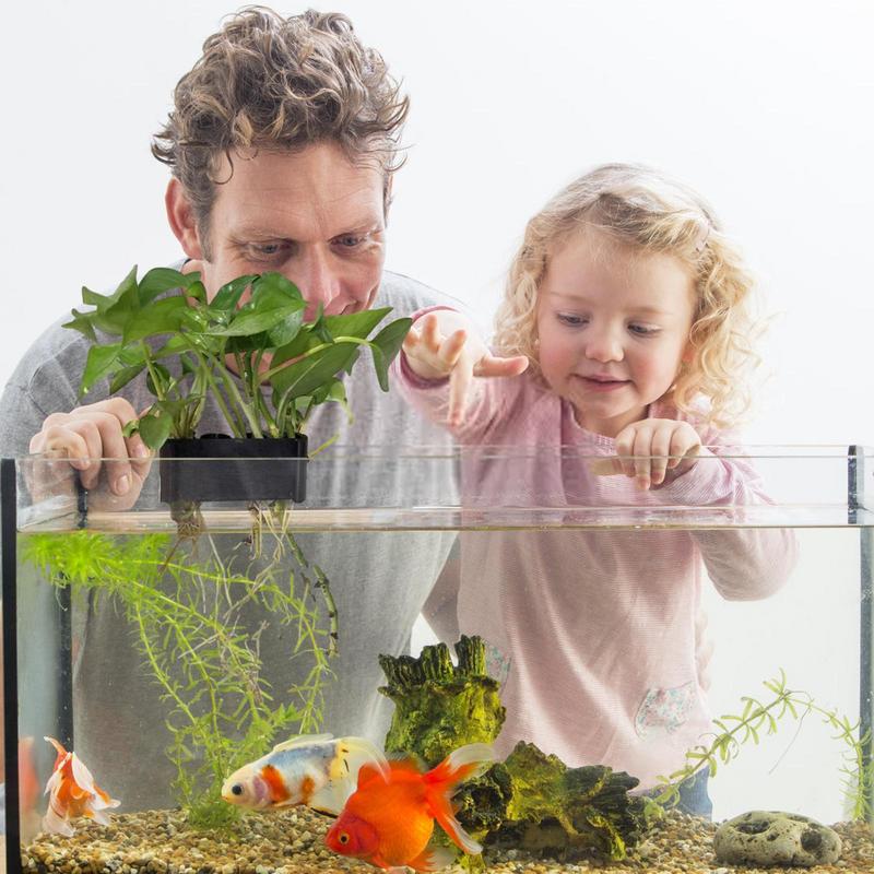 معلقة حوض السمك حامل النبات وع - مراجعة Emersed Plants Aquarium وسعره