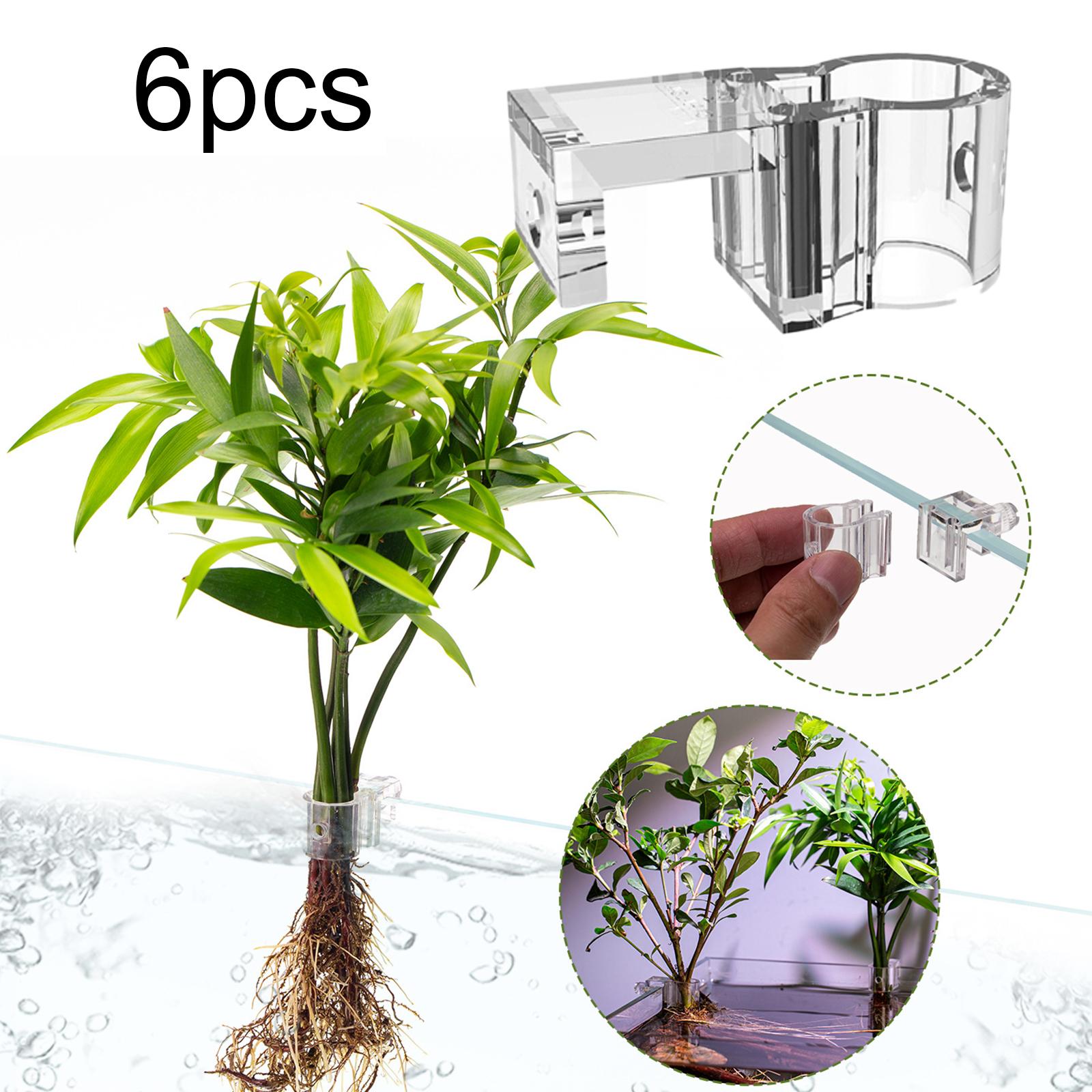 حامل نباتات شفاف مثبت على الحا - مراجعة Aquarium Planted Setup وسعره