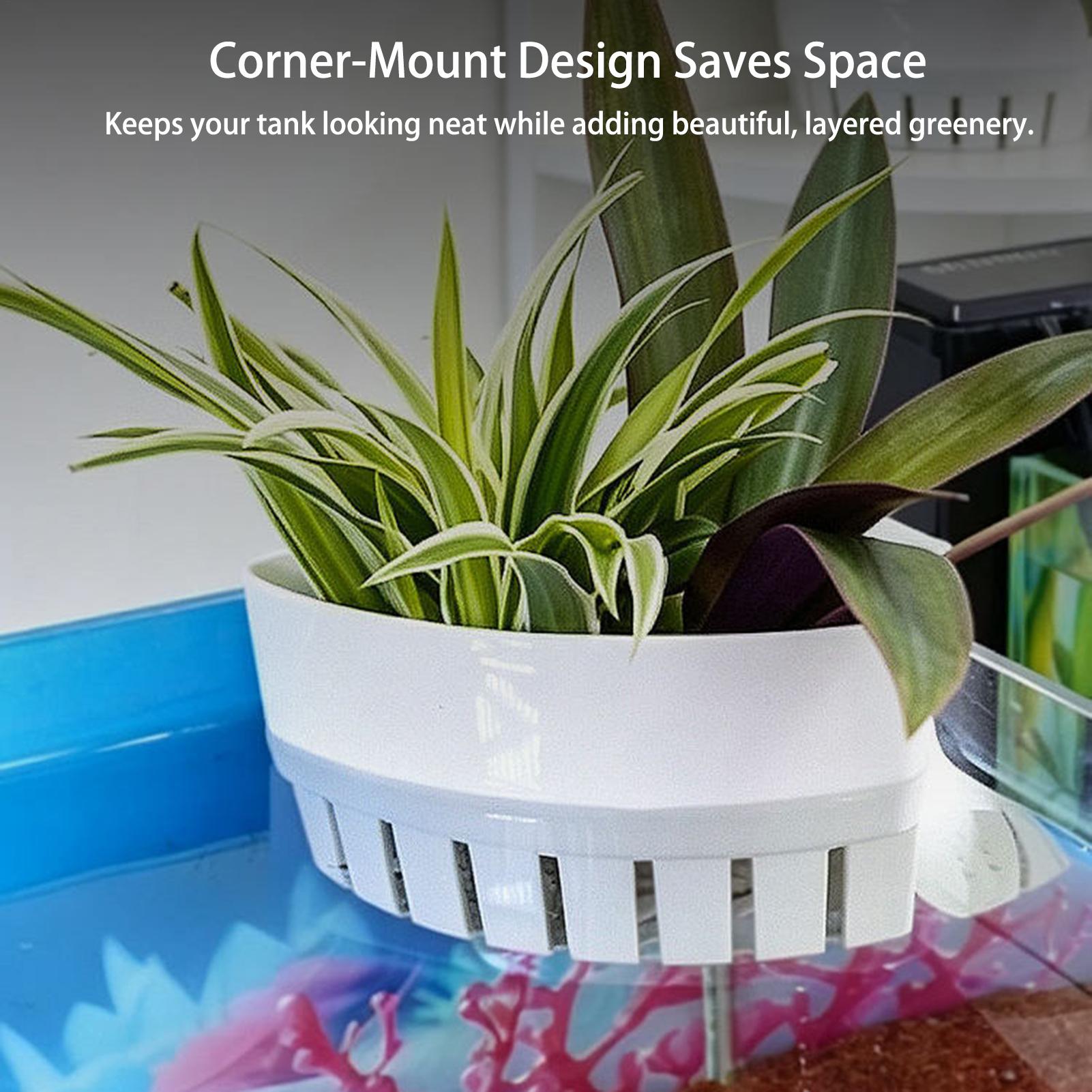 سلة نباتات للأحواض المائية، وع - مراجعة Aquarium Planted Background وسعره