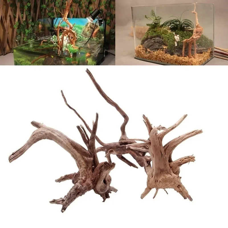 شجرة طبيعية جذع Driftwood لحوض - مراجعة Aquarium Planted Substrate وسعره
