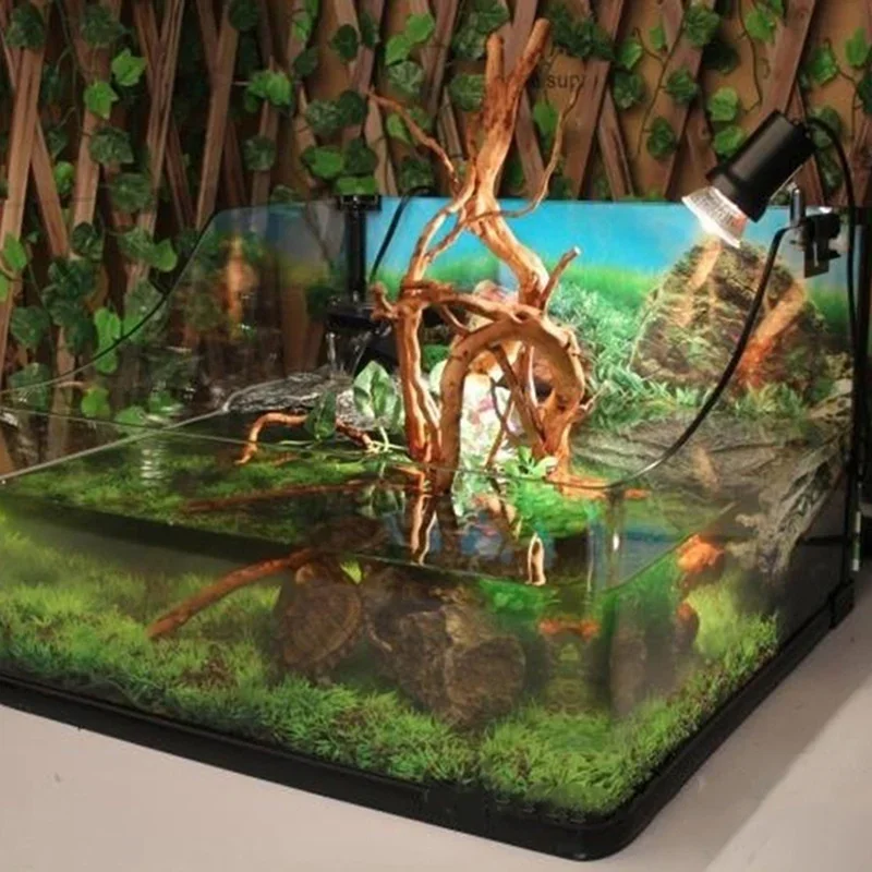 شجرة طبيعية جذع Driftwood لحوض - مراجعة Aquarium Planted Substrate وسعره