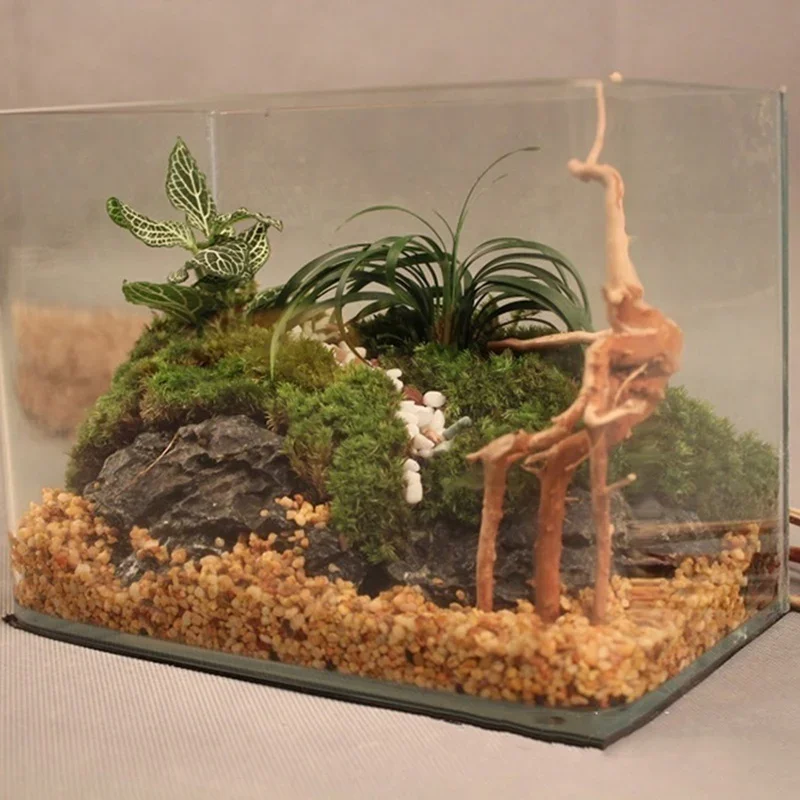شجرة طبيعية جذع Driftwood لحوض - مراجعة Aquarium Planted Substrate وسعره