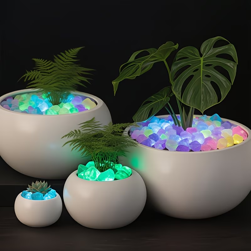 مجموعة 300 قطعة من الحصى المضي - مراجعة Aquarium Plant Original وسعره