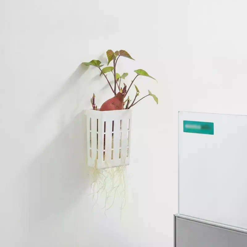 1 قطعة سلة دعم للزراعة المائية - مراجعة Aquarium Plant Original وسعره
