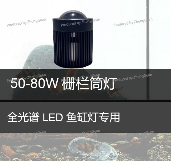 إضاءة LED سفلية لنمو النباتات  - مراجعة Aquarium Planted Wood وسعره