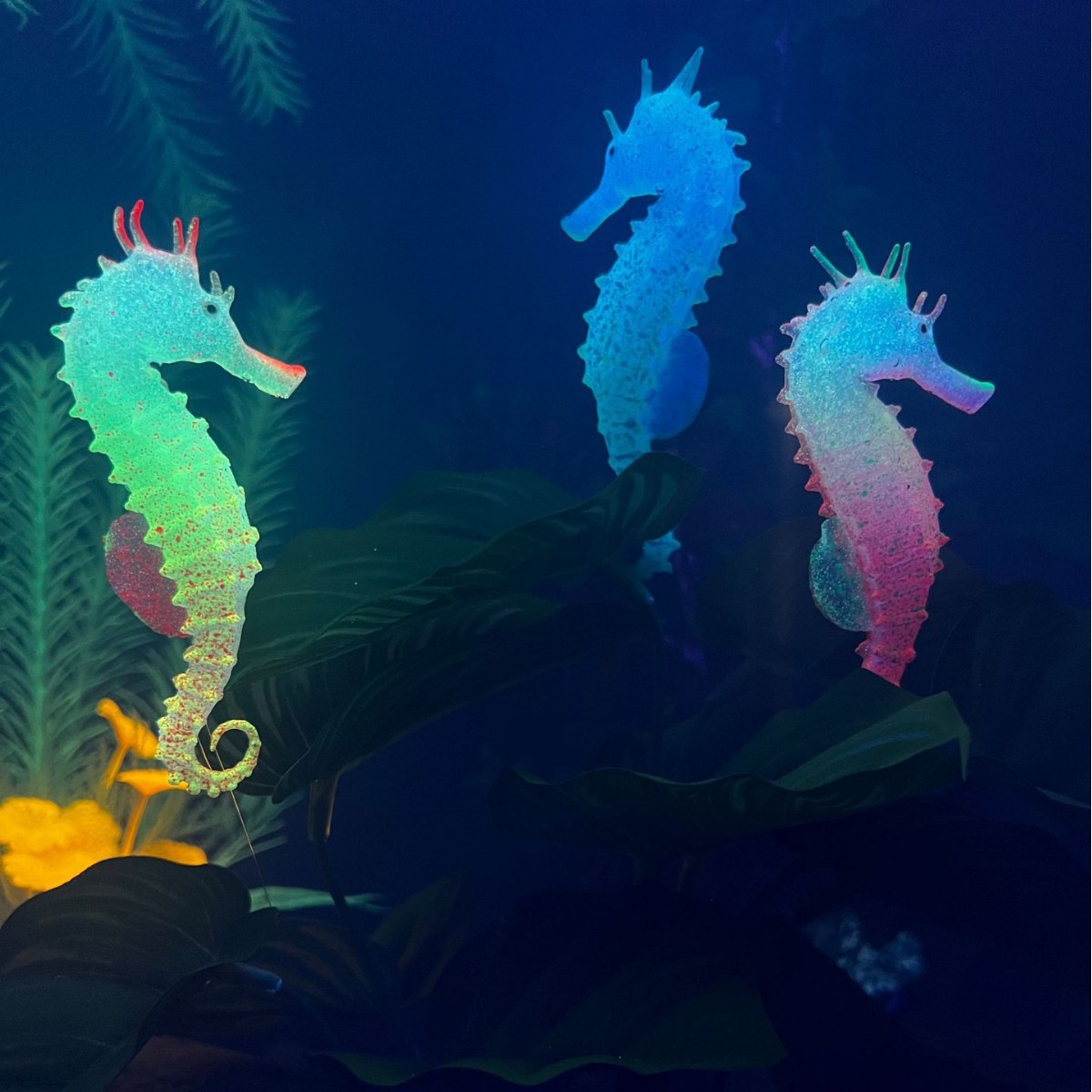 زينة حوض السمك على شكل فرس الب - مراجعة Aquarium Planted Substrate وسعره