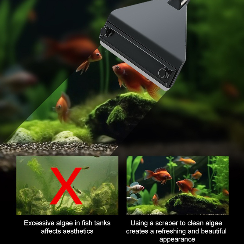 حوض السمك الطحالب مزيل سبائك ا - مراجعة Planted Aquarium Algae Remover وسعره