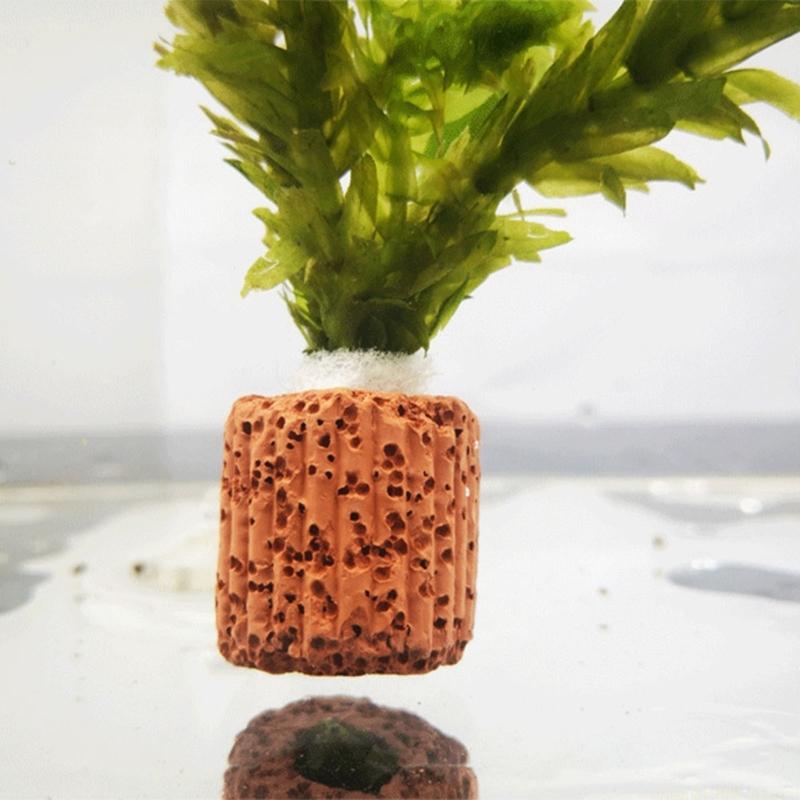 حامل نباتات لأحواض السمك QX2E  - مراجعة Emersed Plants Aquarium وسعره