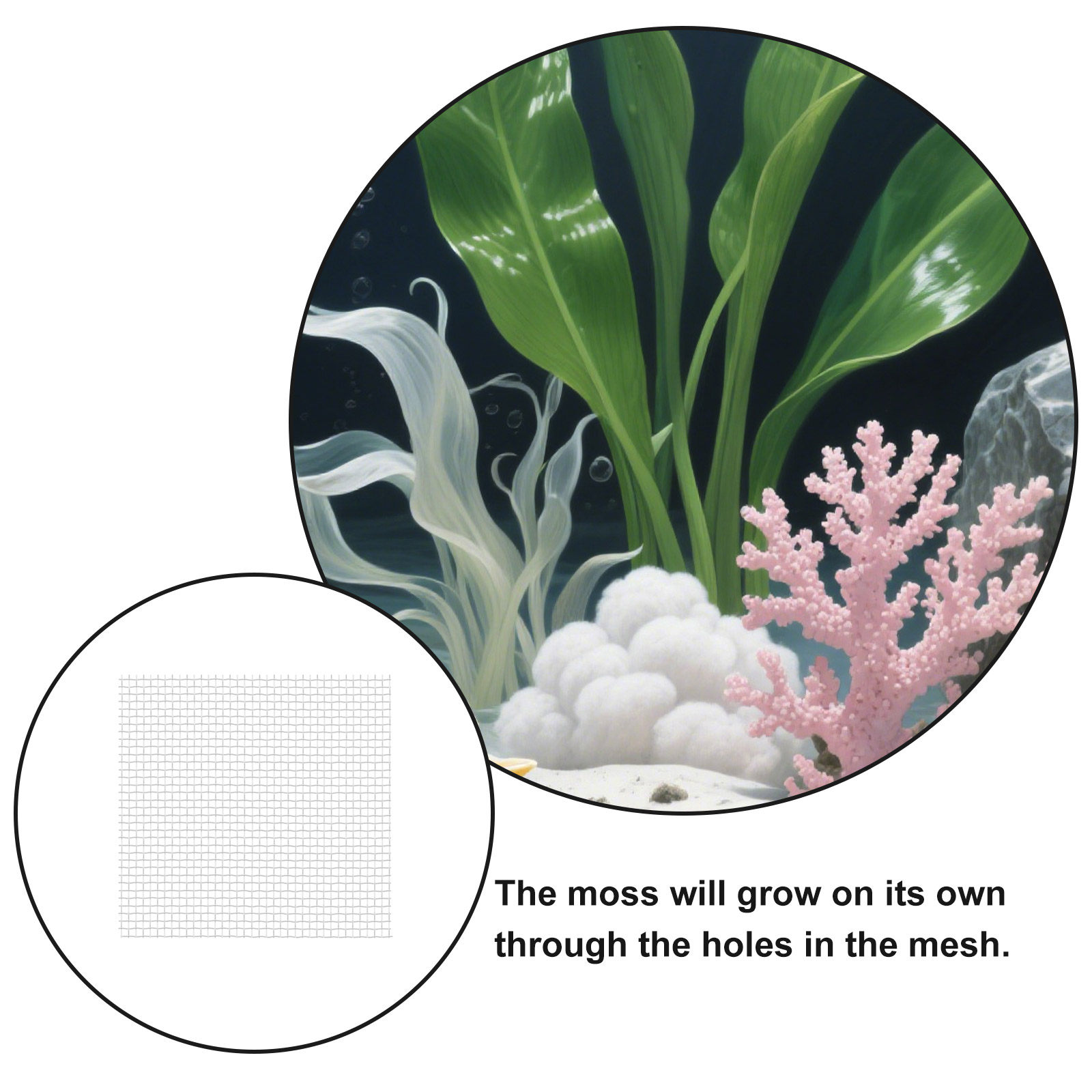 12 قطعة من شبكة الأسلاك المصنو - مراجعة Aquarium Planted Setup وسعره
