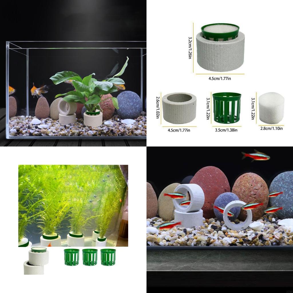 37ME 10 قطعة حوض السمك النبات  - مراجعة Aquarium Planted Background وسعره