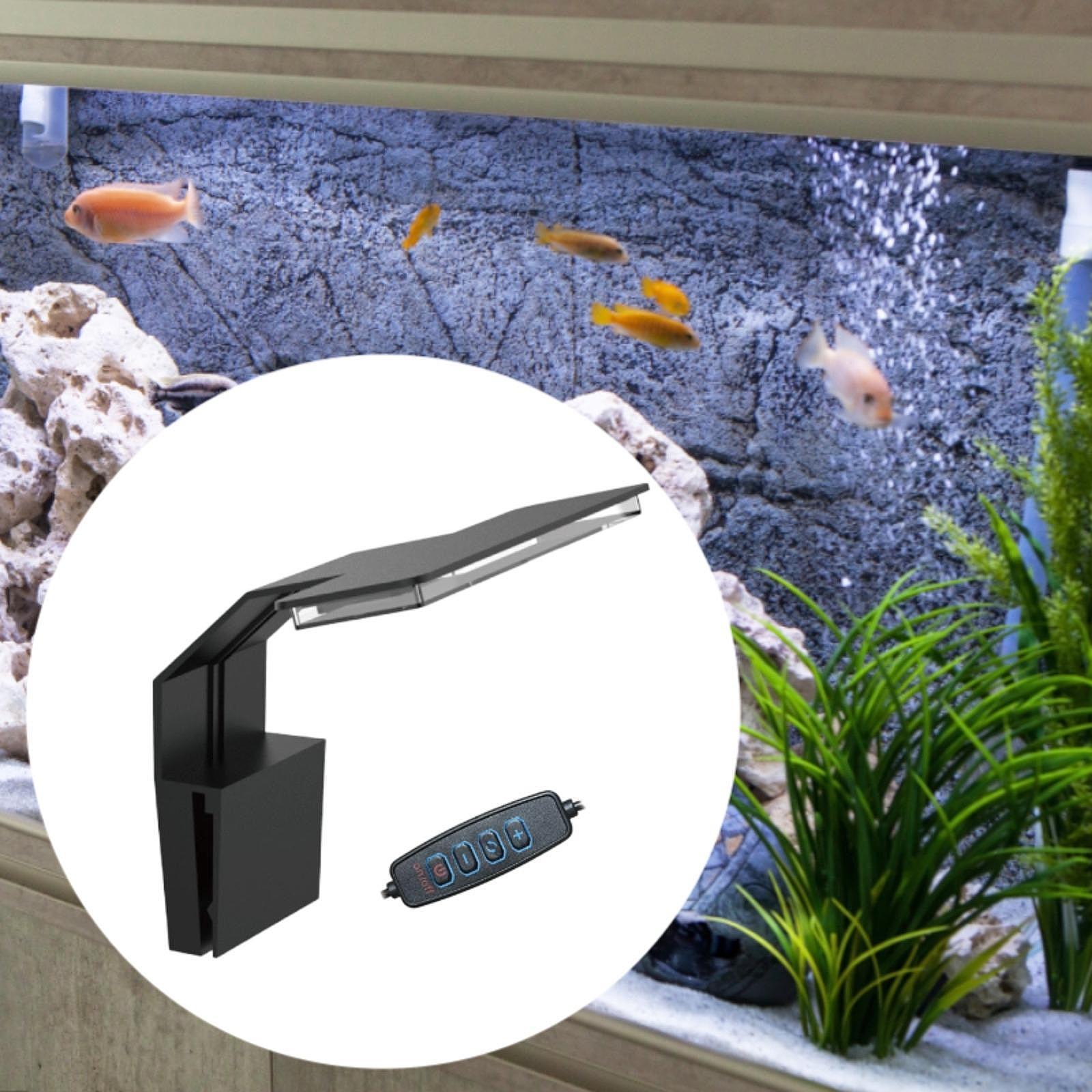 مصباح LED للأحواض المائية، طيف - مراجعة Aquarium Planted Setup وسعره