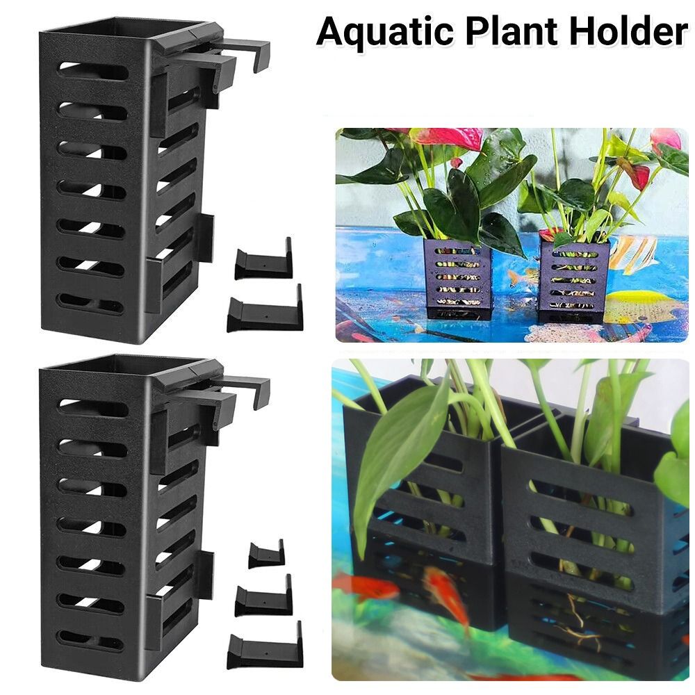 حامل مصنع زجاجي لحوض السمك الم - مراجعة Emersed Plants Aquarium وسعره