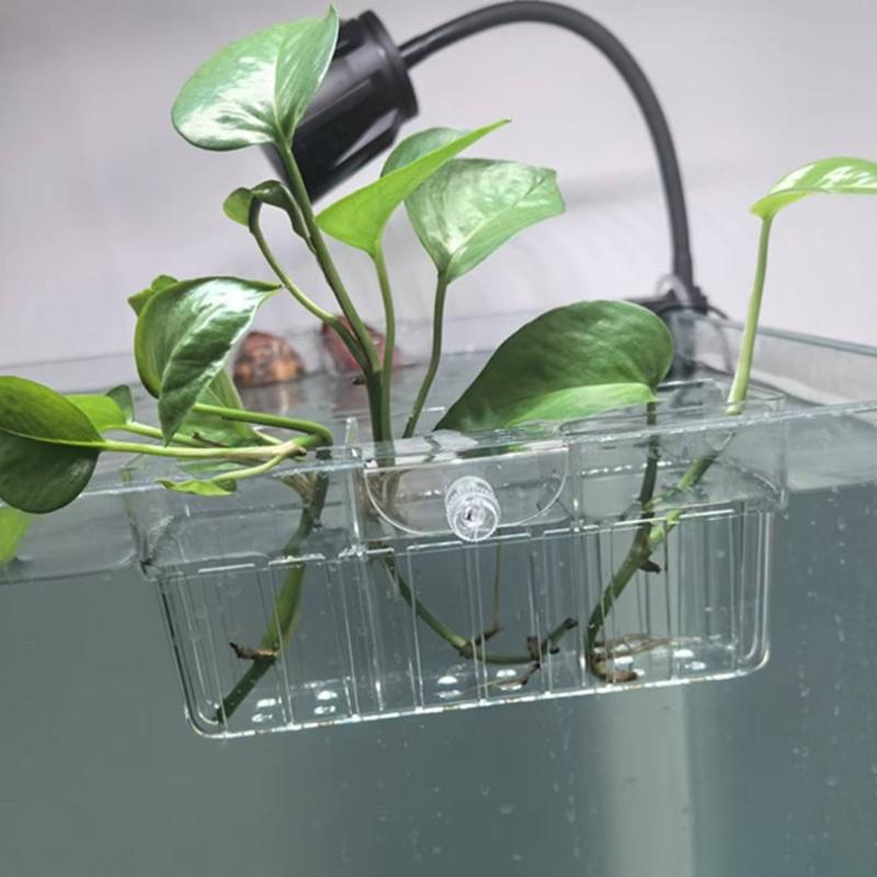سلة زراعة مائية من الدرجة الغذ - مراجعة Aquarium Plant Original وسعره