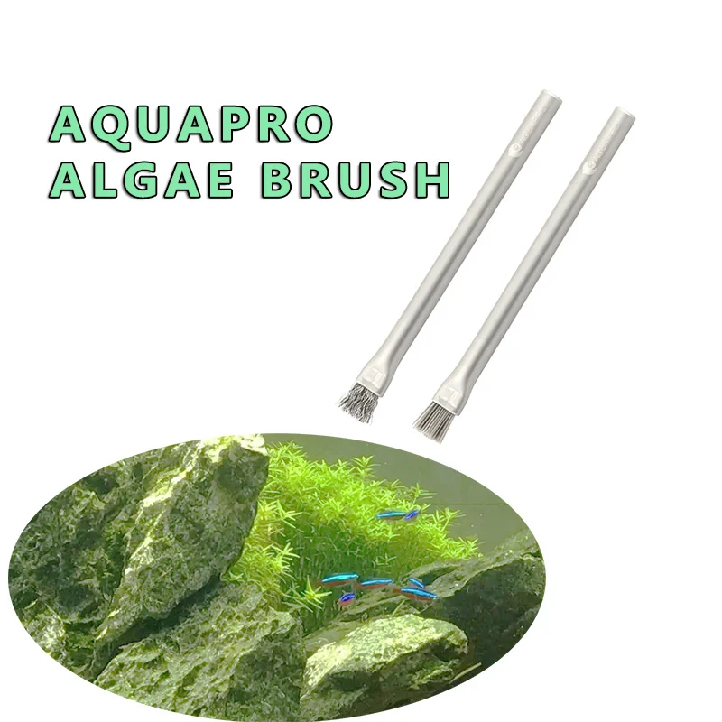Aquapro الطحالب فرشاة تنظيف فر - مراجعة Planted Aquarium Algae Remover وسعره