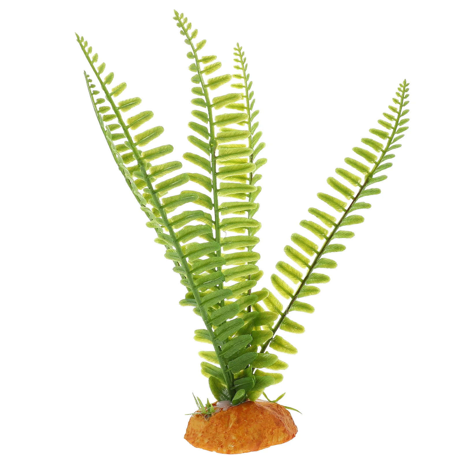 نباتات الزواحف تررم فاينز أورا - مراجعة Aquarium Plant Vine وسعره