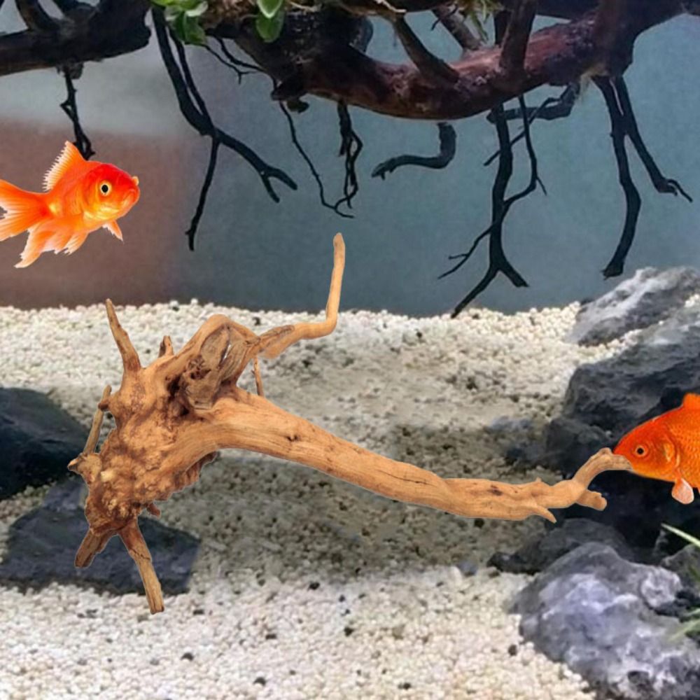 خشب عائم طبيعي كبير لحوض السمك - مراجعة Aquarium Planted Wood وسعره