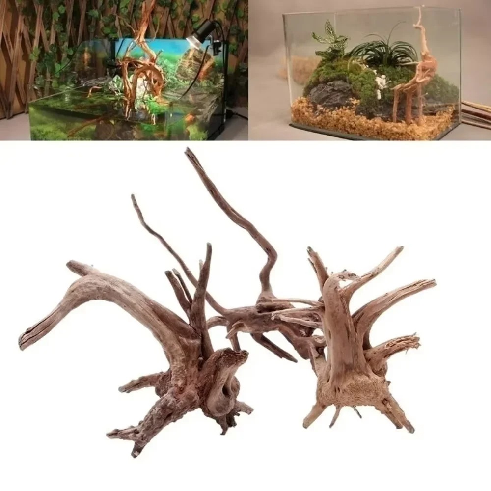 (15-20 سم) ديكور حوض أسماك من  - مراجعة Aquarium Planted Substrate وسعره