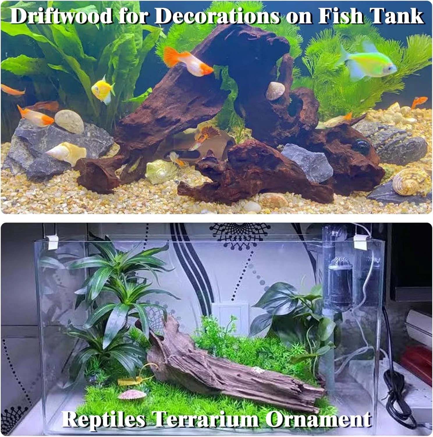 قطعة واحدة من الخشب الطبيعي ال - مراجعة Aquarium Planted Wood وسعره
