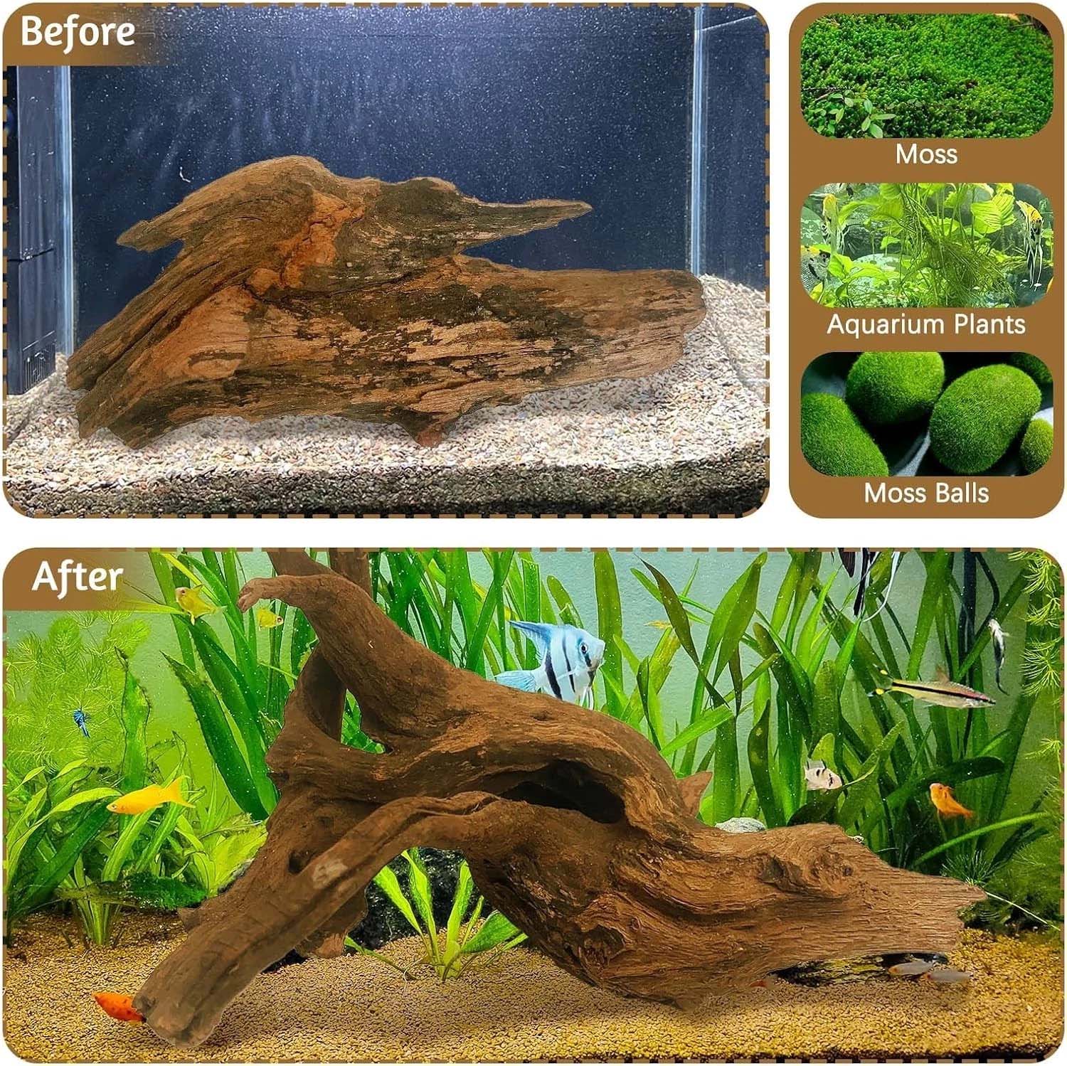 قطعة واحدة من الخشب الطبيعي ال - مراجعة Aquarium Planted Wood وسعره
