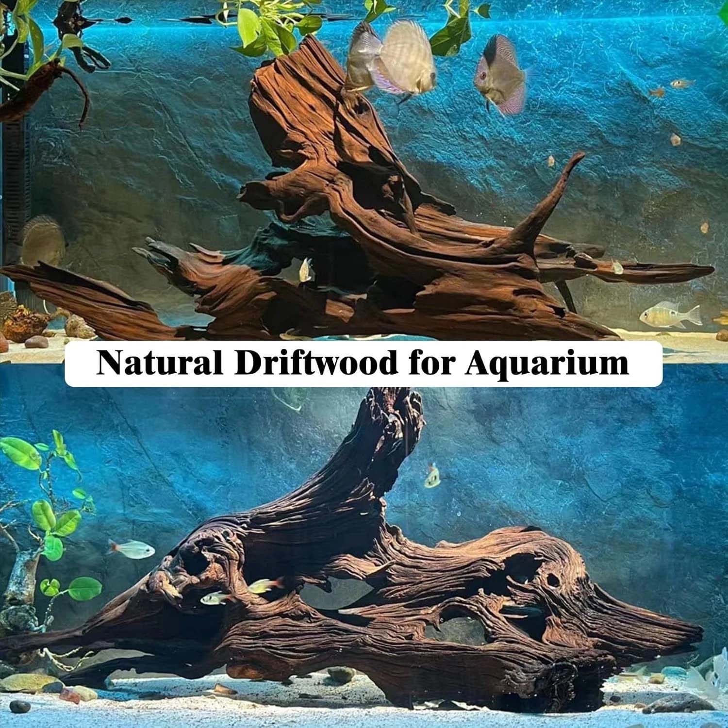 قطعة واحدة من الخشب الطبيعي ال - مراجعة Aquarium Planted Wood وسعره