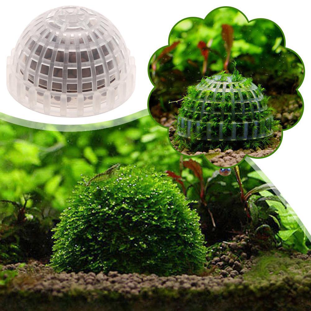 1-5 قطع من نباتات الزينة للأحو - مراجعة Aquarium Planted Background وسعره
