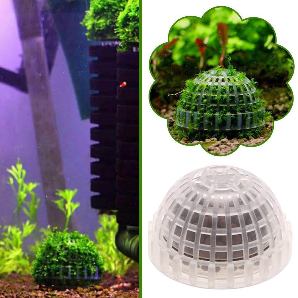 1-5 قطع من نباتات الزينة للأحو - مراجعة Aquarium Planted Background وسعره
