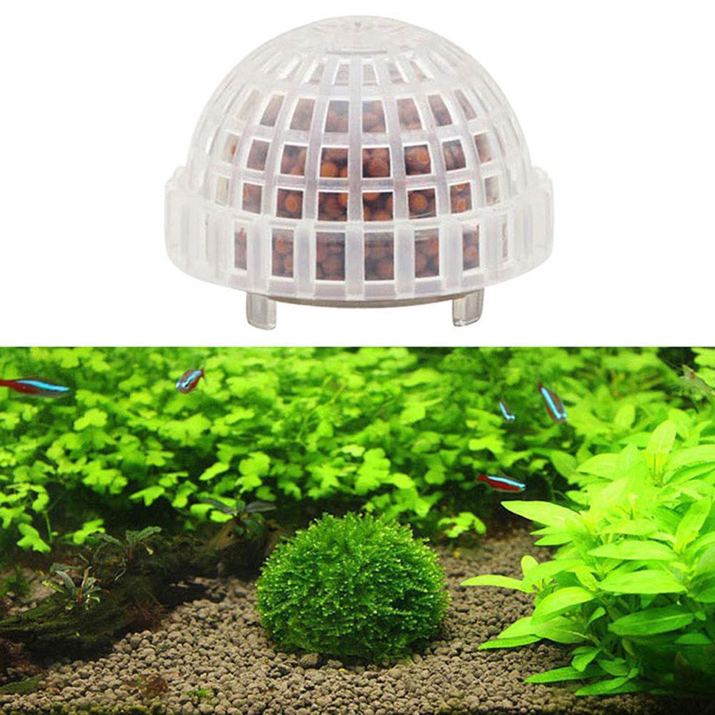 1-5 قطع من نباتات الزينة للأحو - مراجعة Aquarium Planted Background وسعره
