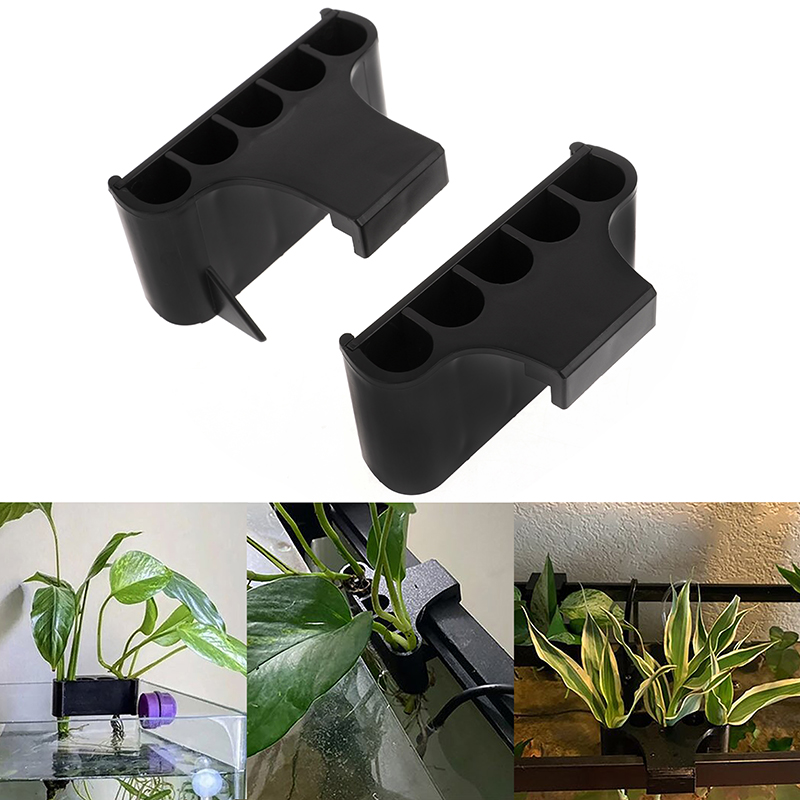 حامل نباتات حوض السمك المعلق ، - مراجعة Emersed Plants Aquarium وسعره