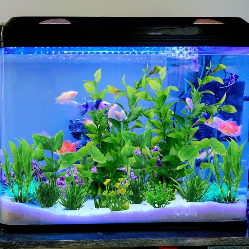 10 قطع/مجموعة نباتات بلاستيكية - مراجعة Aquarium Plant Vine وسعره