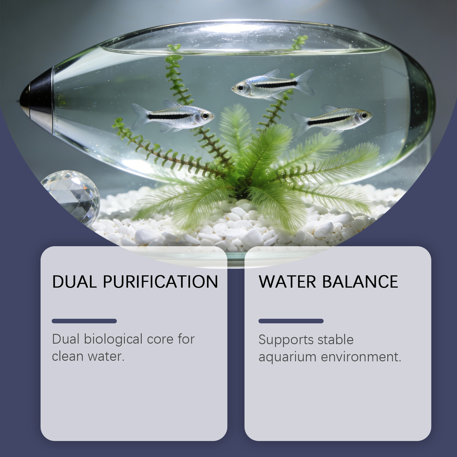 أقراص إزالة الطحالب لأحواض الس - مراجعة Planted Aquarium Algae Remover وسعره