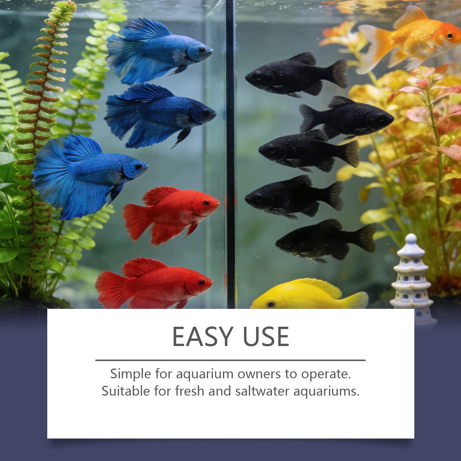 أقراص إزالة الطحالب لأحواض الس - مراجعة Planted Aquarium Algae Remover وسعره