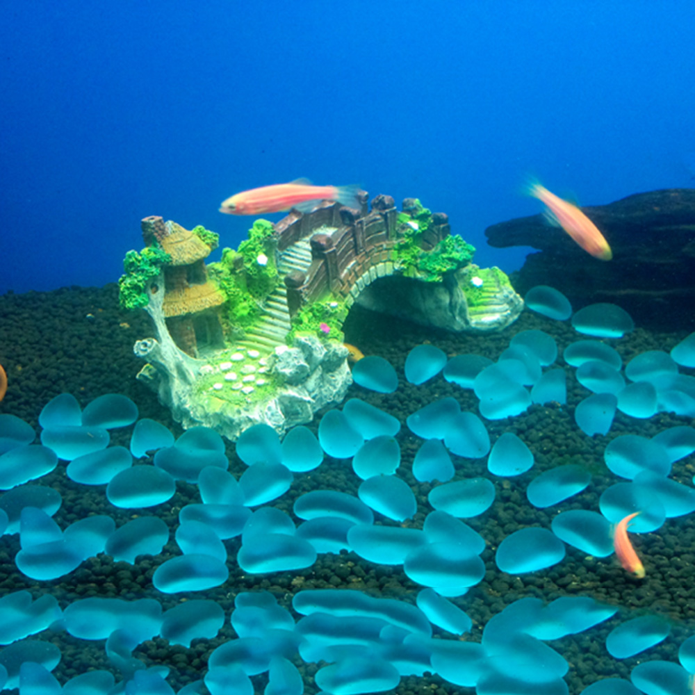 اكسسوارات حوض السمك نبات شجرة  - مراجعة Aquarium Planted Wood وسعره